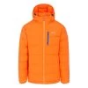 Trespass Men's DLX Hooded Down Jacket Crane